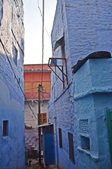 Wall Mural -  blue houses old city jodhpur, rajasthan,india