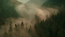 Aerial View Of Sunrise In The Misty Forest. Foggy Golden Sunset In Mountains. Flying Over Green Trees Valley. Morning Mist, Country Fields, Sun Rising Above The Horizon. Scenic Nature Landscape.
