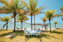Table And Chairs Set Under Coconut Palm Trees On The Beach Shore And Hammocks Hanging In Bahia, Brazil.