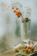 Jesienne kwiaty w kroplach deszczu na szybie
