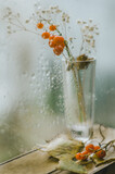 Fototapeta  - Jesienne kwiaty w kroplach deszczu na szybie