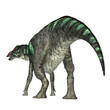 Maiasaura Dinosaur Tail - Maiasaura was a herbivorous duck-billed Hadrosaur dinosaur that lived in Montana during the Cretaceous Period.