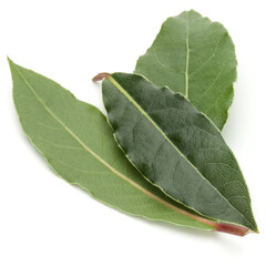 Wall Mural - Aromatic bay leaves