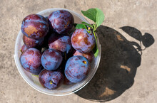Blue Plums In Old Pot On Vintage Wooden Table. Top View