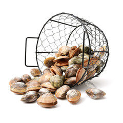 Poster - Stacked fresh raw clams on white background