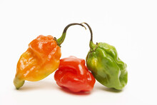 Closeup Shot Of Ripe Colorful Caribbean Peppers (Capsicum Chinense) Isolated On A White Background