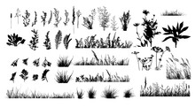 The Silhouette Of The Grass Set. Vector Illustration