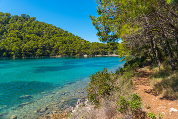 Wall Mural - Turquoise water of Veliko Jezero at Mljet national park in Croatia