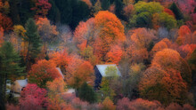 Old Barn Surrounded By Colorful Fall Foliage