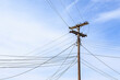 Utility Pole with Many Lines against a Cloudy Blue Sky