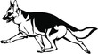 Silhouette of a dog running around the German Shepherd breed 
The beautiful head of the German Shepherd
A elements for the logo