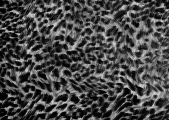 abstract leopard print texture design	
