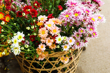 Beautiful flowers in wooden basket..