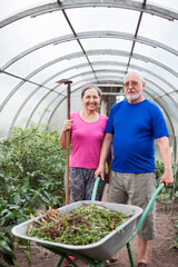 Wall Mural - Two elderly people in   greenhouse