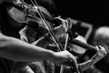 Poster - Violinist's hands in the orchestra in black and white 