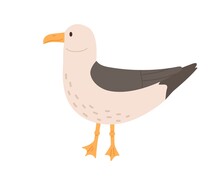 Cute And Funny Seagull Isolated On White Background. Side View Of Sea Bird Called Gull With Gray Folded Wings. Colored Vector Illustration In Flat Cartoon Style