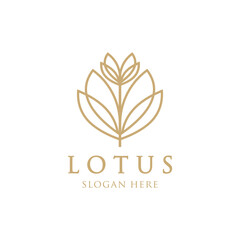 Wall Mural - Lotus luxury logo template Gold line lotus logo vector art design