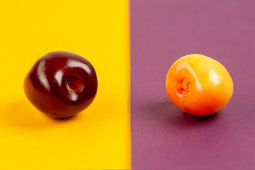 Wall Mural - Red and yellow cherry in studio