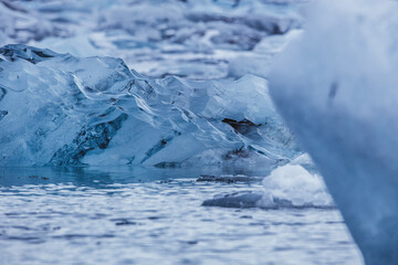 Jökulsárlón glacier lagoon, Iceland, North Atlantic Ocean