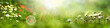 Sunny flower meadow in spring with daisies and poppies. Blurred natur panorama with short deep of focus and bright bokeh. Concept for ecology and leisure with space for text.
