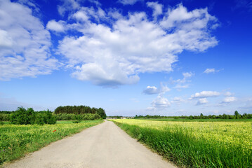 Wall Mural - road among green fields