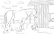 Horse is standing near its stable in outdoors. Illustration for coloring book.