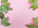 Fototapeta Na ścianę - Seamless pastel pink background with grren leaves .Flat lay .Spring concept