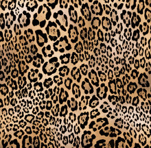 Seamless Leopard Texture, African Animal Print