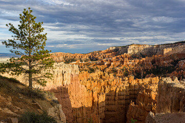 Bryce Canyon National Park, Hoodoos orange rock formations. Utah, USA