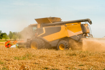 Rotary straw walker cut and threshes ripe wheat grain. Combine harvesters with grain header, wide chaff spreader reaping cereal ears. Gathering crop by agricultural machinery on field on summer season