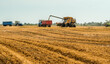 © JinOdin - Unloading grains into truck by unloading auger. Combine harvesters cuts and threshes ripe wheat grain. Wheat harvesting on field in summer season. Process of gathering crop by agricultural machinery