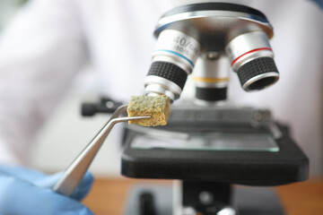 Wall Mural - Scientist holding sample of moldy tissue near microscope with tweezers closeup