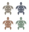 vector sea turtle colorful icons
