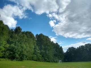 field and sky