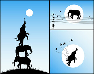 Poster - elephants isolated silhouettes. conceptual animal outline