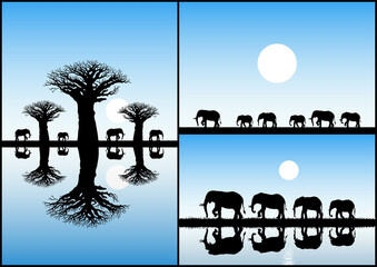 Sticker - elephant family, baobab tree. endangered animal isolated silhouette
