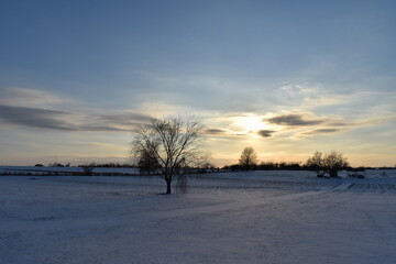 Wall Mural - Sunset Over a Snowy Field