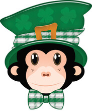 saitn patricks day phoenix parade
