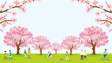 People Enjoying Cherry Blossom Viewing