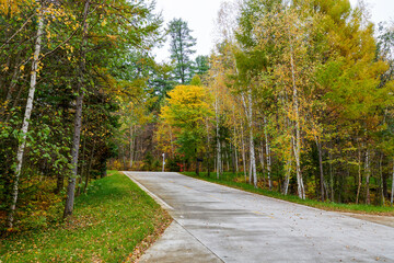 Wall Mural - The road on the autumn forests landscape.