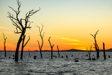 Water Scene With Vibrant Sunset With Dead Trees And Hills In The Distance. Kow Swamp, Victoria Australia