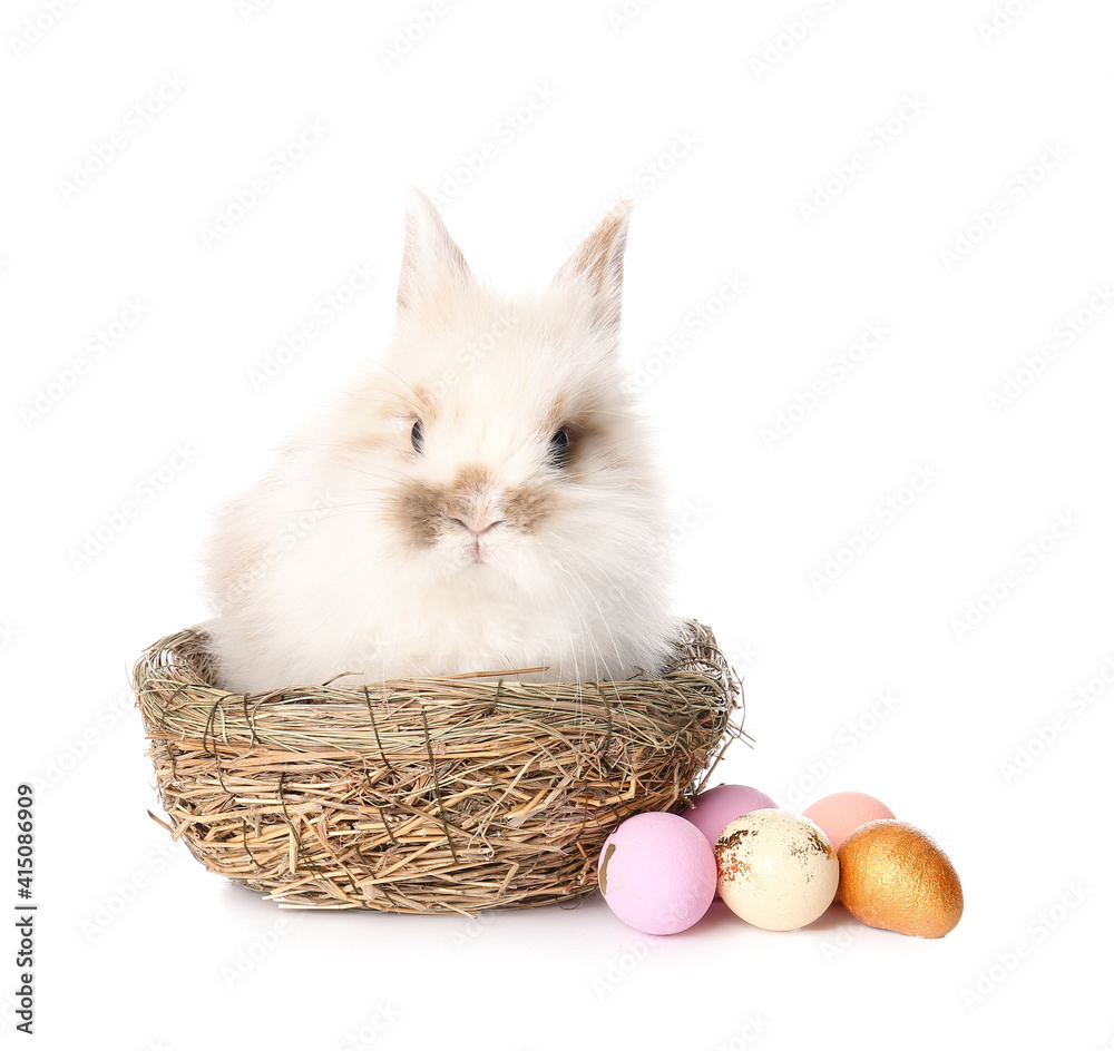 Cute rabbit in nest and Easter eggs on white background