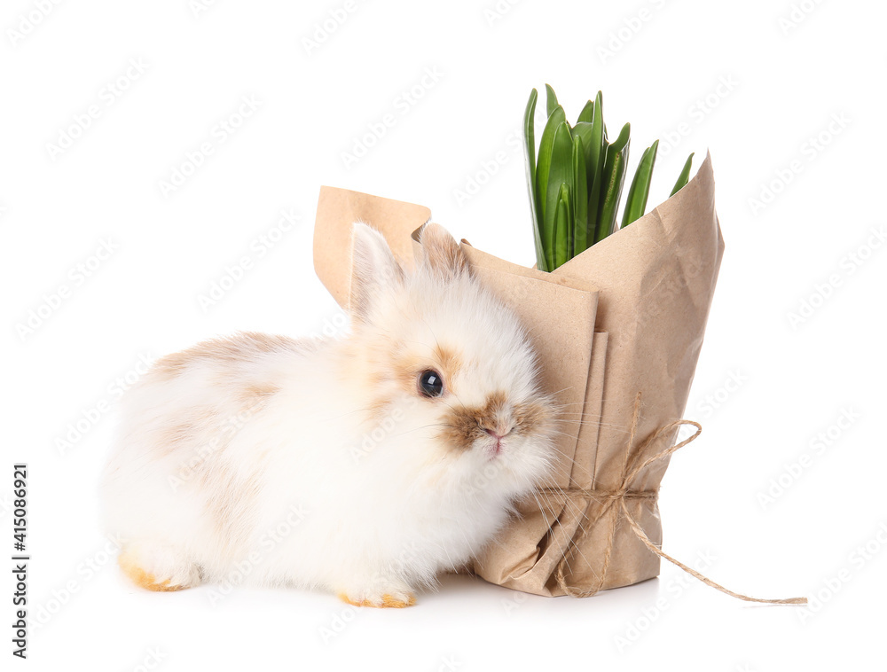 Cute rabbit and spring plant on white background