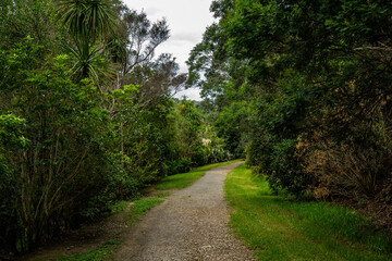 Canvas Print - Photos of beach haven in auckland