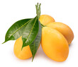 Sweet Yellow Marian Plum isolated on white background, Tropical fruit Marian Plum, Mayongchid, Maprang, on white background With clipping path.