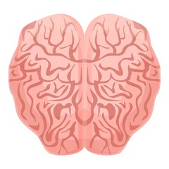 Poster - Human brain mind icon. Cartoon of human brain mind vector icon for web design isolated on white background