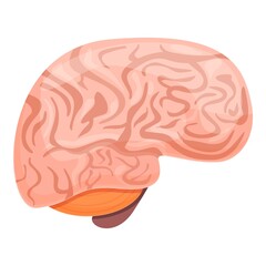Poster - Human brain science icon. Cartoon of human brain science vector icon for web design isolated on white background