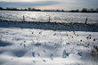 © Fons - Eerbeekse Hooilanden near Eerbeek in the Netherlands covered in snow