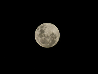 the full moon