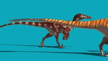 Group Of Austroraptors Walks Blue Screen Side Dinosaurs 3D Rendering Animation 4K